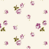 The Short: English Rose Pointelle